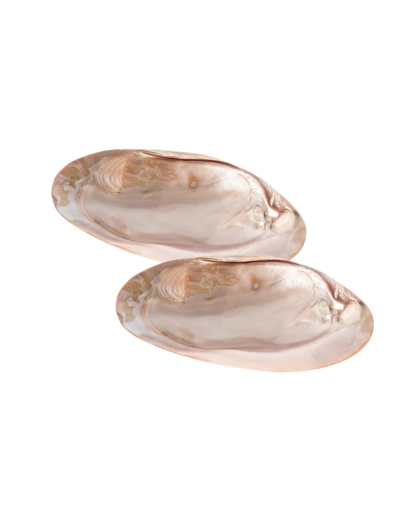 MOTHER OF SHELL PLATE set x2 | $190.000